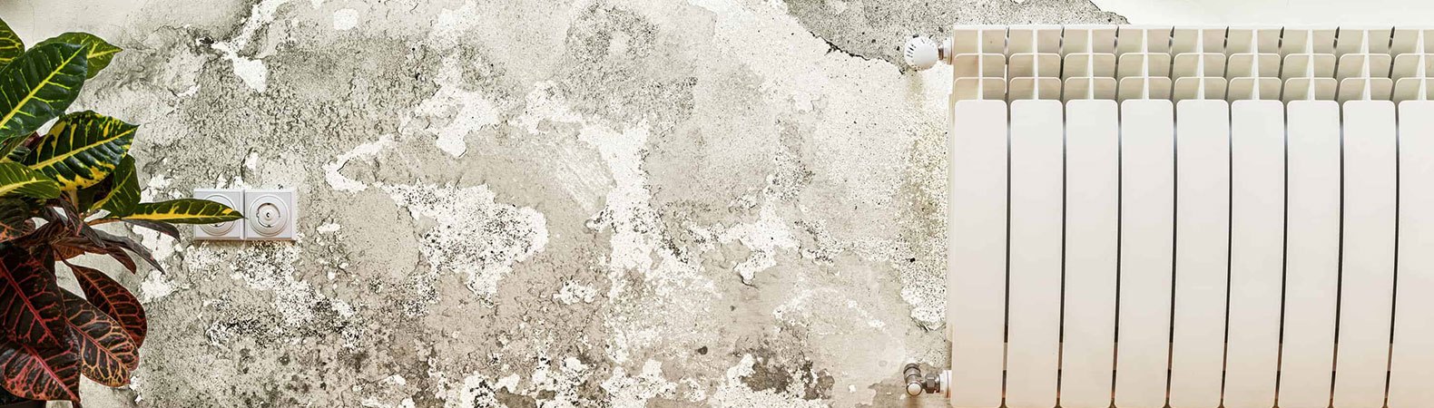 Govaluesa-Damp-Proofing-Specialists-slide-1.jpg